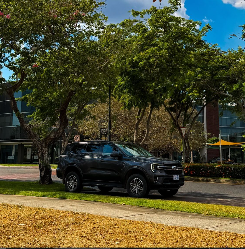 Black Car CR SUV on a tree-lined city road