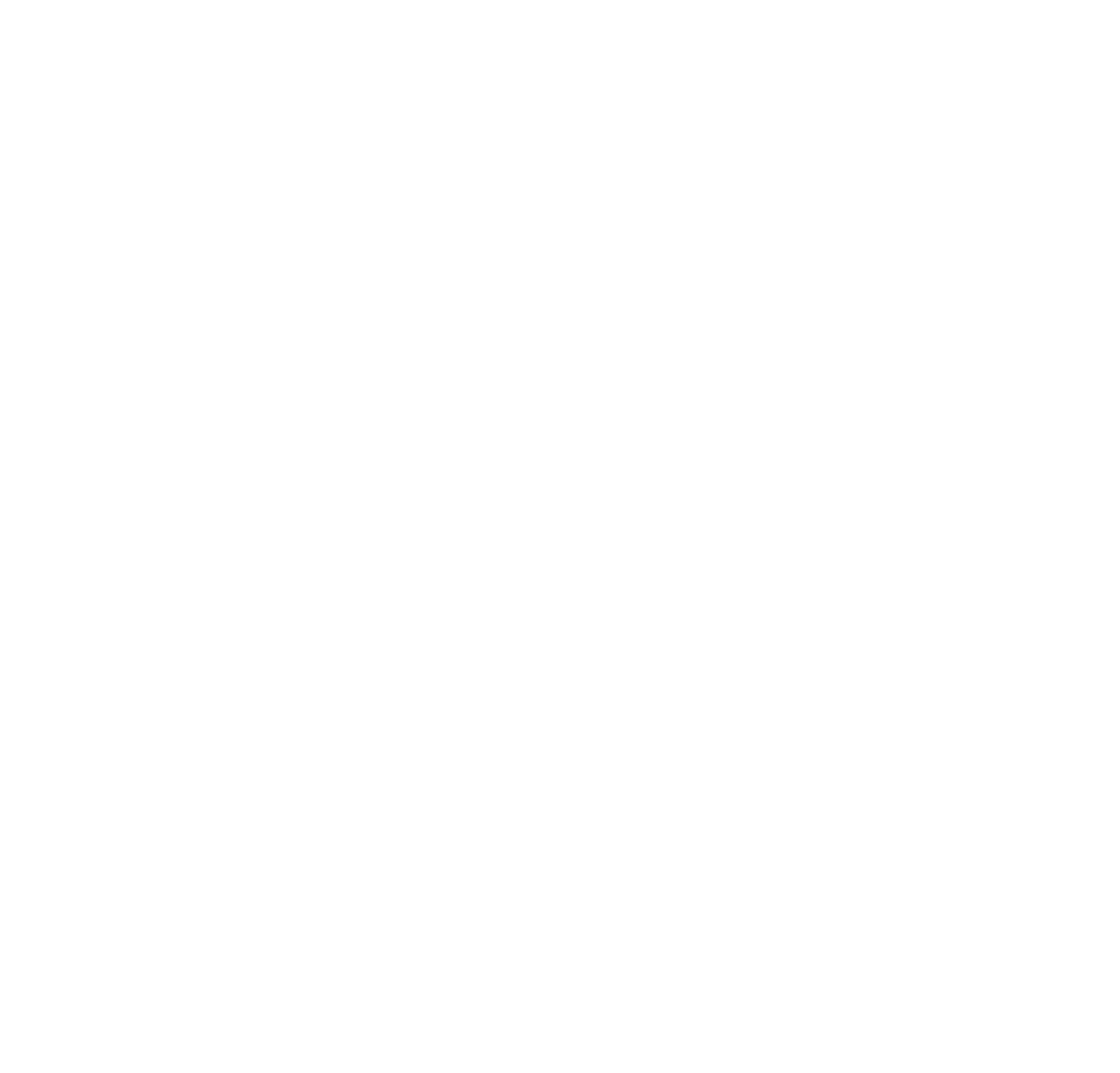 Black Car CR — Transport Services
